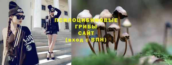 крисы Инсар