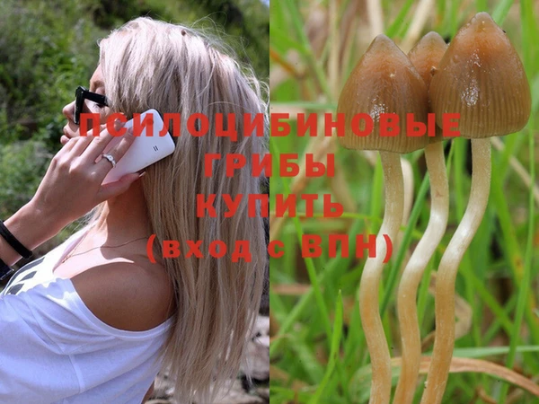 не бодяженный Инта