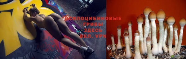 каннабис Зеленокумск