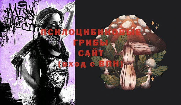 не бодяженный Инта